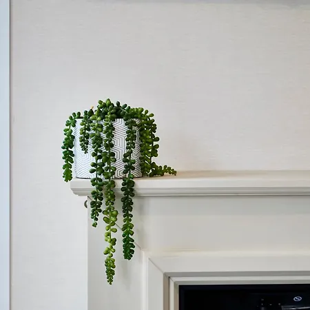 Host & - Tarn 펜션 *